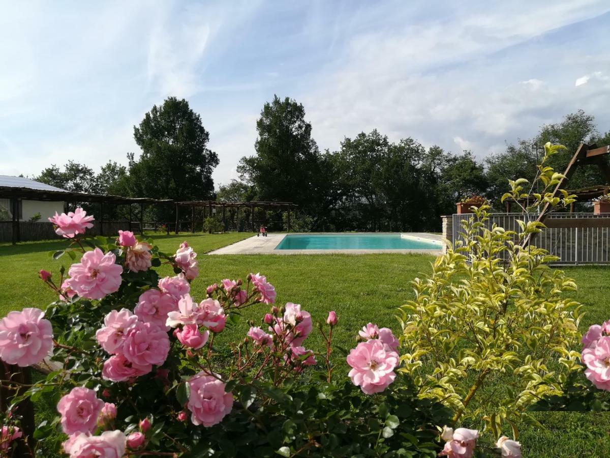 Agriturismo Dimore Di Poggianto Pergine Valdarno Eksteriør billede